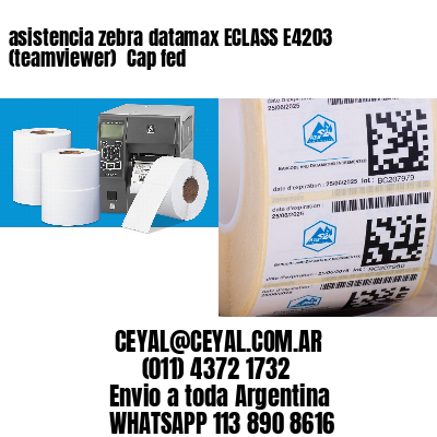 asistencia zebra datamax ECLASS E4203 (teamviewer)  Cap fed