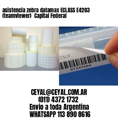 asistencia zebra datamax ECLASS E4203 (teamviewer)  Capital Federal