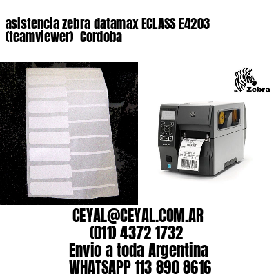 asistencia zebra datamax ECLASS E4203 (teamviewer)  Cordoba