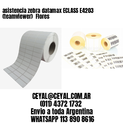 asistencia zebra datamax ECLASS E4203 (teamviewer)  Flores