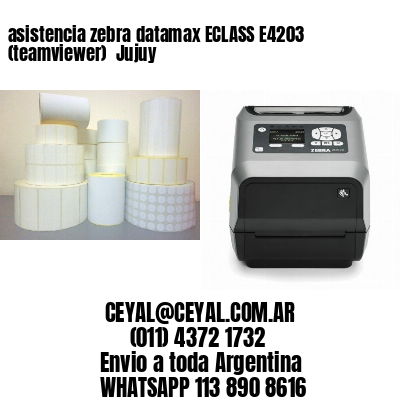asistencia zebra datamax ECLASS E4203 (teamviewer)  Jujuy