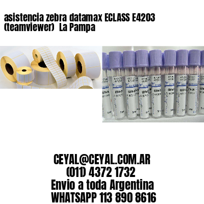 asistencia zebra datamax ECLASS E4203 (teamviewer)  La Pampa