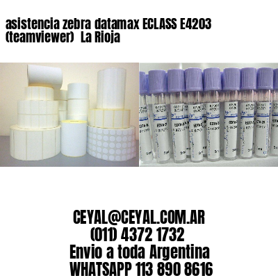 asistencia zebra datamax ECLASS E4203 (teamviewer)  La Rioja
