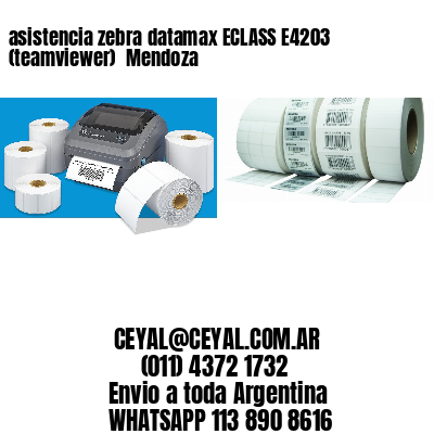 asistencia zebra datamax ECLASS E4203 (teamviewer)  Mendoza