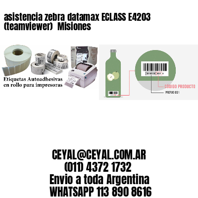 asistencia zebra datamax ECLASS E4203 (teamviewer)  Misiones