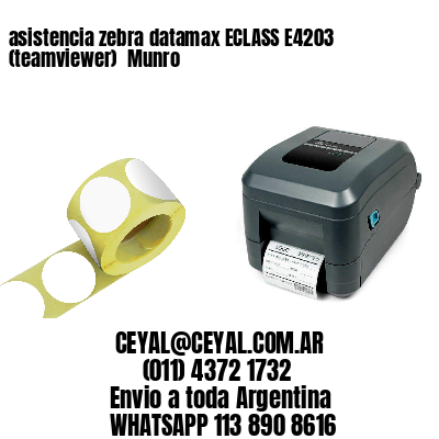 asistencia zebra datamax ECLASS E4203 (teamviewer)  Munro