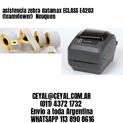 asistencia zebra datamax ECLASS E4203 (teamviewer)  Neuquen