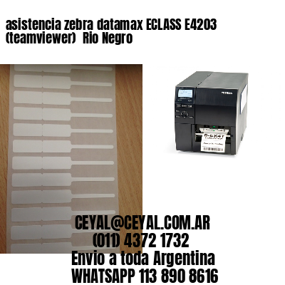 asistencia zebra datamax ECLASS E4203 (teamviewer)  Rio Negro