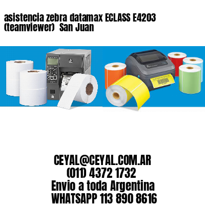 asistencia zebra datamax ECLASS E4203 (teamviewer)  San Juan