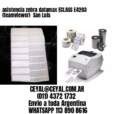 asistencia zebra datamax ECLASS E4203 (teamviewer)  San Luis