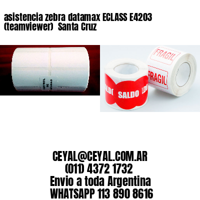 asistencia zebra datamax ECLASS E4203 (teamviewer)  Santa Cruz