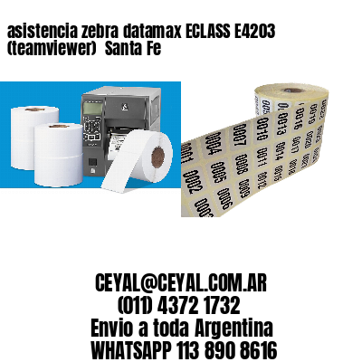 asistencia zebra datamax ECLASS E4203 (teamviewer)  Santa Fe