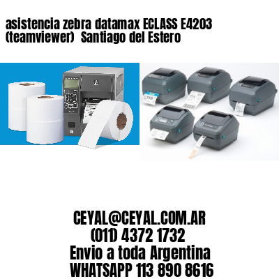 asistencia zebra datamax ECLASS E4203 (teamviewer)  Santiago del Estero