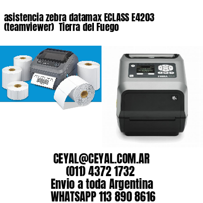 asistencia zebra datamax ECLASS E4203 (teamviewer)  Tierra del Fuego