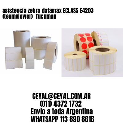asistencia zebra datamax ECLASS E4203 (teamviewer)  Tucuman