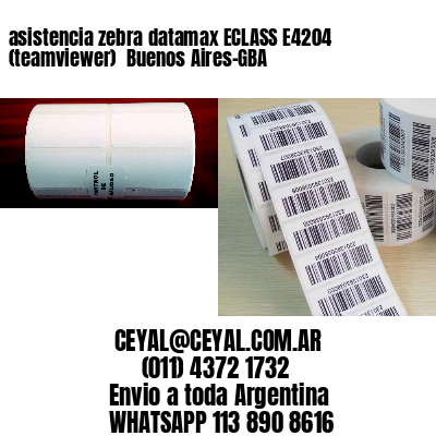 asistencia zebra datamax ECLASS E4204 (teamviewer)  Buenos Aires-GBA