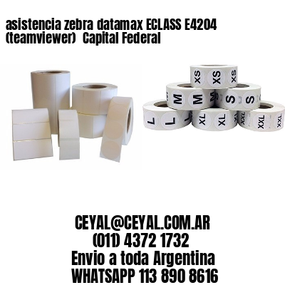 asistencia zebra datamax ECLASS E4204 (teamviewer)  Capital Federal
