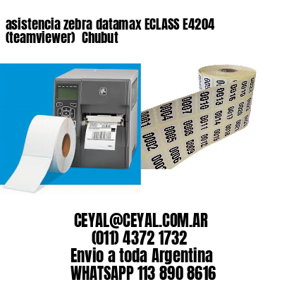 asistencia zebra datamax ECLASS E4204 (teamviewer)  Chubut