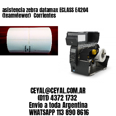 asistencia zebra datamax ECLASS E4204 (teamviewer)  Corrientes