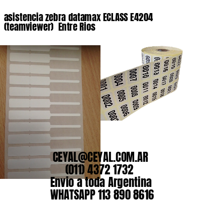 asistencia zebra datamax ECLASS E4204 (teamviewer)  Entre Rios