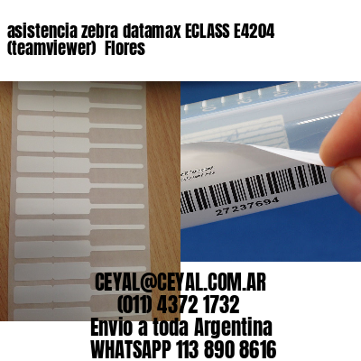 asistencia zebra datamax ECLASS E4204 (teamviewer)  Flores