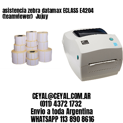 asistencia zebra datamax ECLASS E4204 (teamviewer)  Jujuy
