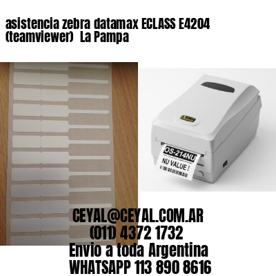 asistencia zebra datamax ECLASS E4204 (teamviewer)  La Pampa