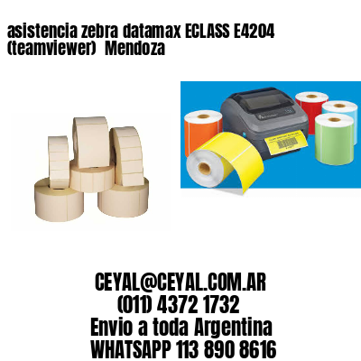 asistencia zebra datamax ECLASS E4204 (teamviewer)  Mendoza