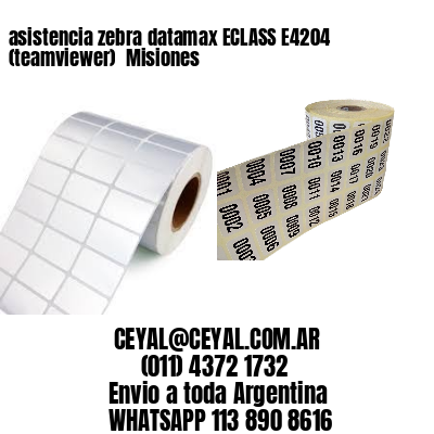 asistencia zebra datamax ECLASS E4204 (teamviewer)  Misiones