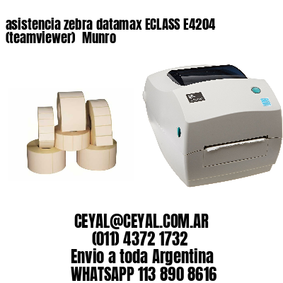 asistencia zebra datamax ECLASS E4204 (teamviewer)  Munro