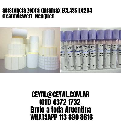 asistencia zebra datamax ECLASS E4204 (teamviewer)  Neuquen