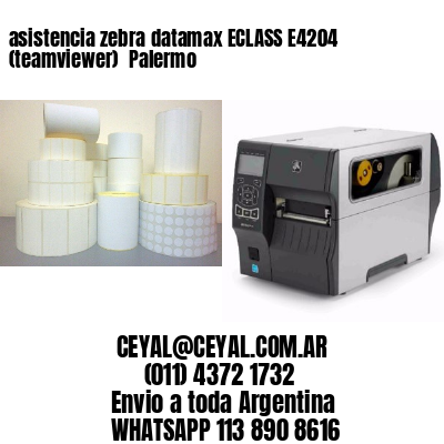 asistencia zebra datamax ECLASS E4204 (teamviewer)  Palermo