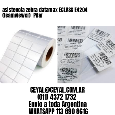 asistencia zebra datamax ECLASS E4204 (teamviewer)  Pilar
