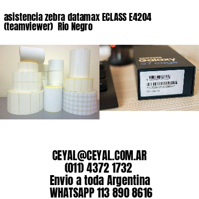 asistencia zebra datamax ECLASS E4204 (teamviewer)  Rio Negro