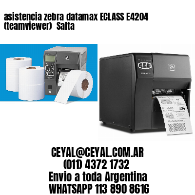 asistencia zebra datamax ECLASS E4204 (teamviewer)  Salta