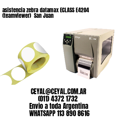 asistencia zebra datamax ECLASS E4204 (teamviewer)  San Juan