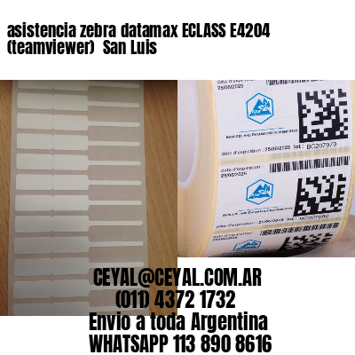 asistencia zebra datamax ECLASS E4204 (teamviewer)  San Luis