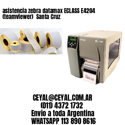 asistencia zebra datamax ECLASS E4204 (teamviewer)  Santa Cruz