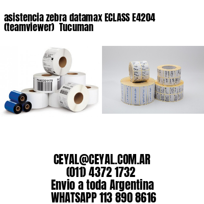 asistencia zebra datamax ECLASS E4204 (teamviewer)  Tucuman