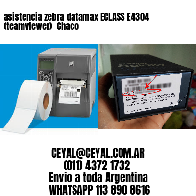asistencia zebra datamax ECLASS E4304 (teamviewer)  Chaco