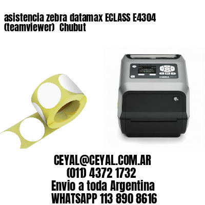 asistencia zebra datamax ECLASS E4304 (teamviewer)  Chubut
