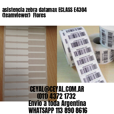 asistencia zebra datamax ECLASS E4304 (teamviewer)  Flores