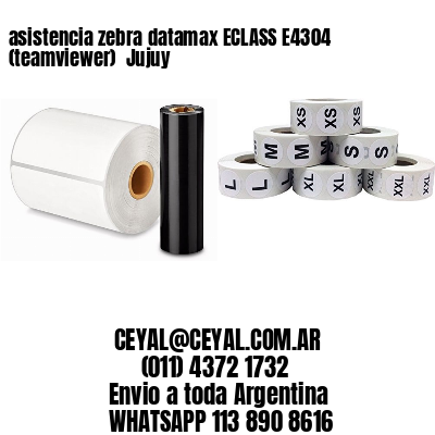 asistencia zebra datamax ECLASS E4304 (teamviewer)  Jujuy