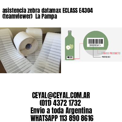 asistencia zebra datamax ECLASS E4304 (teamviewer)  La Pampa