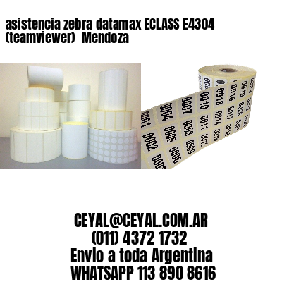 asistencia zebra datamax ECLASS E4304 (teamviewer)  Mendoza
