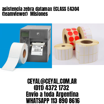 asistencia zebra datamax ECLASS E4304 (teamviewer)  Misiones