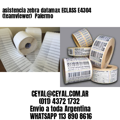 asistencia zebra datamax ECLASS E4304 (teamviewer)  Palermo