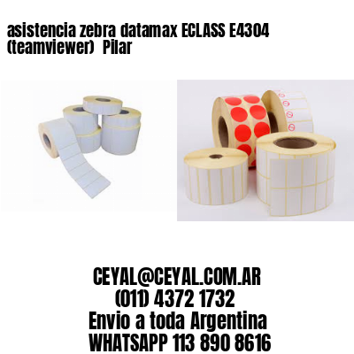 asistencia zebra datamax ECLASS E4304 (teamviewer)  Pilar
