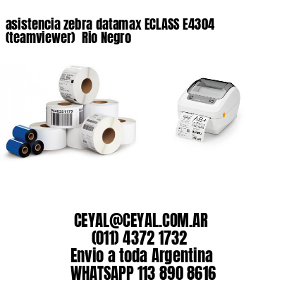 asistencia zebra datamax ECLASS E4304 (teamviewer)  Rio Negro