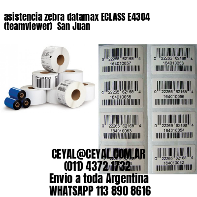 asistencia zebra datamax ECLASS E4304 (teamviewer)  San Juan